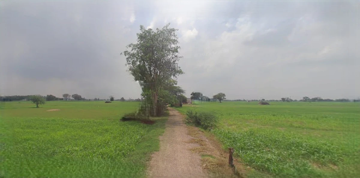 Mandsaur, Madhya Pradesh, India