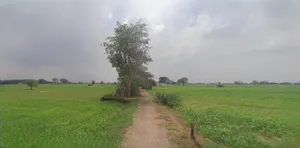 Mandsaur, Madhya Pradesh, India preview 2