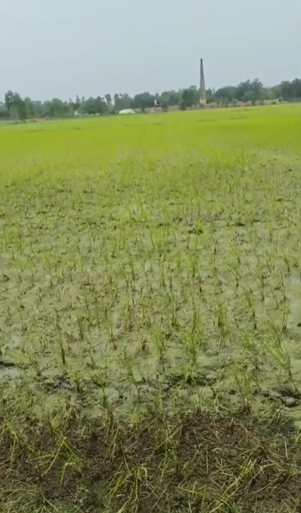 Maharajganj, Raebareli, Uttar Pradesh 229306, India