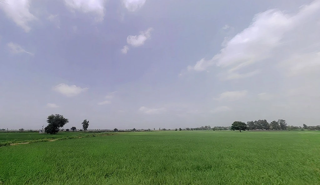 Pharal, Haryana 136021, India