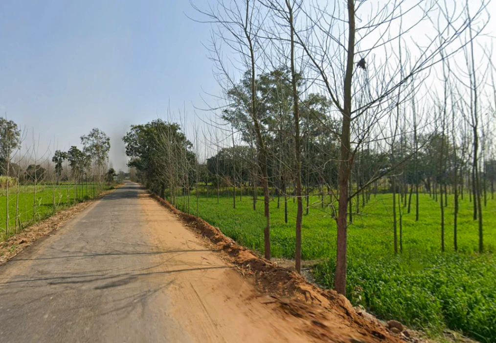 Pilkhani, Uttar Pradesh 247451, India