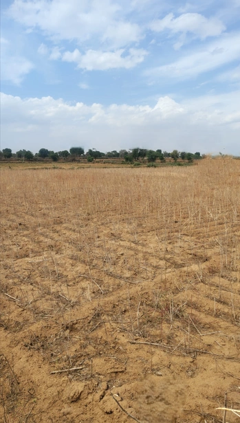 Unchakani, Uttar Pradesh 244001, India preview 3