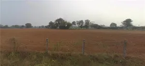 9M93+RQ Aluva, Gujarat, India preview 2