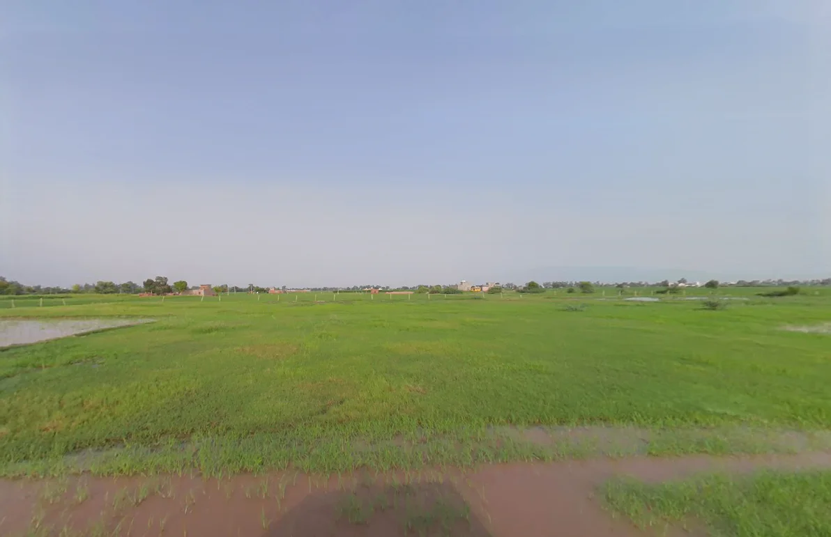 Kanganpur, Sirsa, Haryana 125055, India preview 2