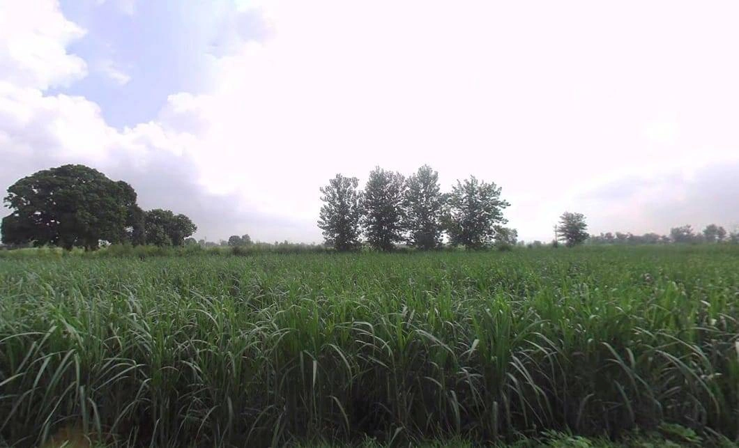 7RCC+H98, Tisang, Uttar Pradesh 251314, India