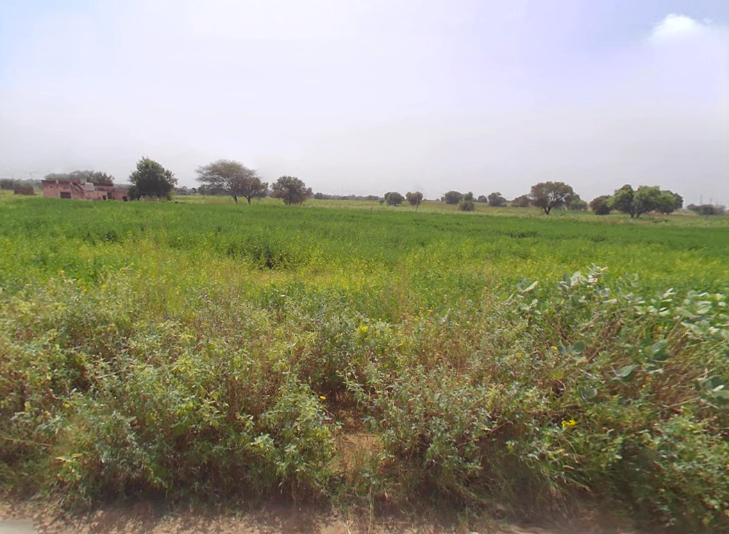 Dalawas, Haryana 127308, India