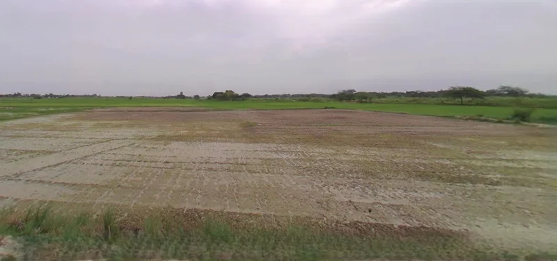 Barnagar, Madhya Pradesh 456771, India preview 2