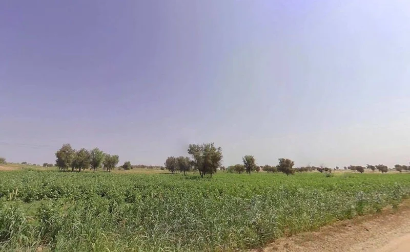 Arjansar, Rajasthan 334604, India preview 3