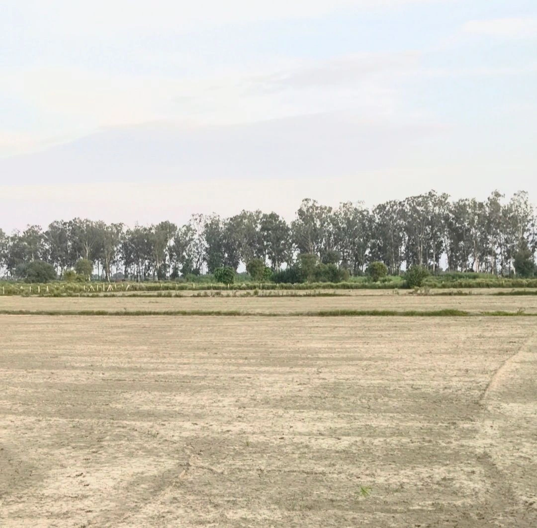 Firozpur Jhirka, Nuh, Haryana 122104, India - Photo 2