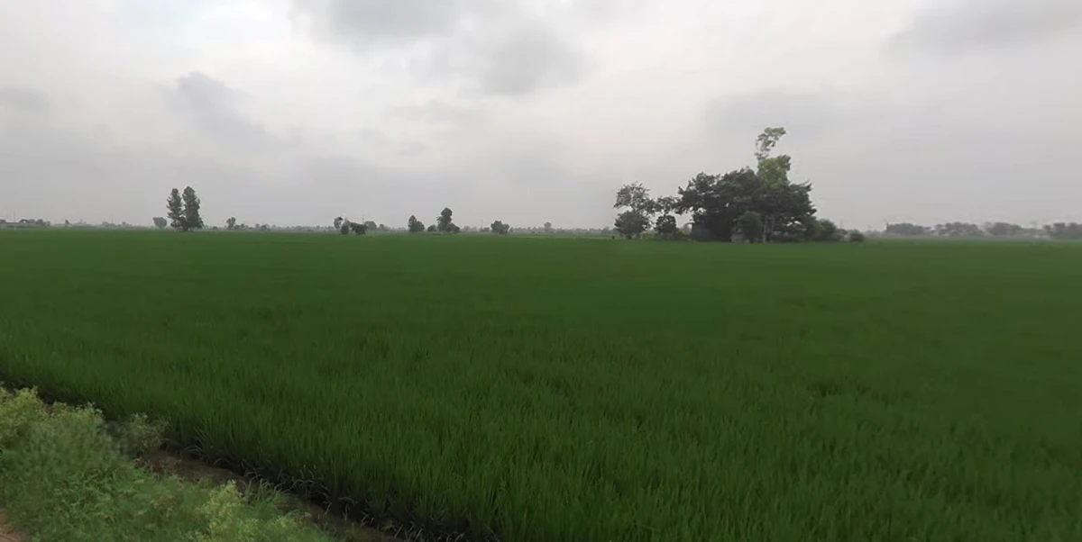 Chabbal Rd, Indra Colony, Amritsar, Punjab, India