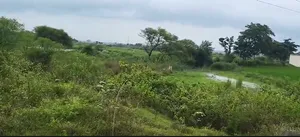 Kanchi, Jharkhand 835204, India preview 2