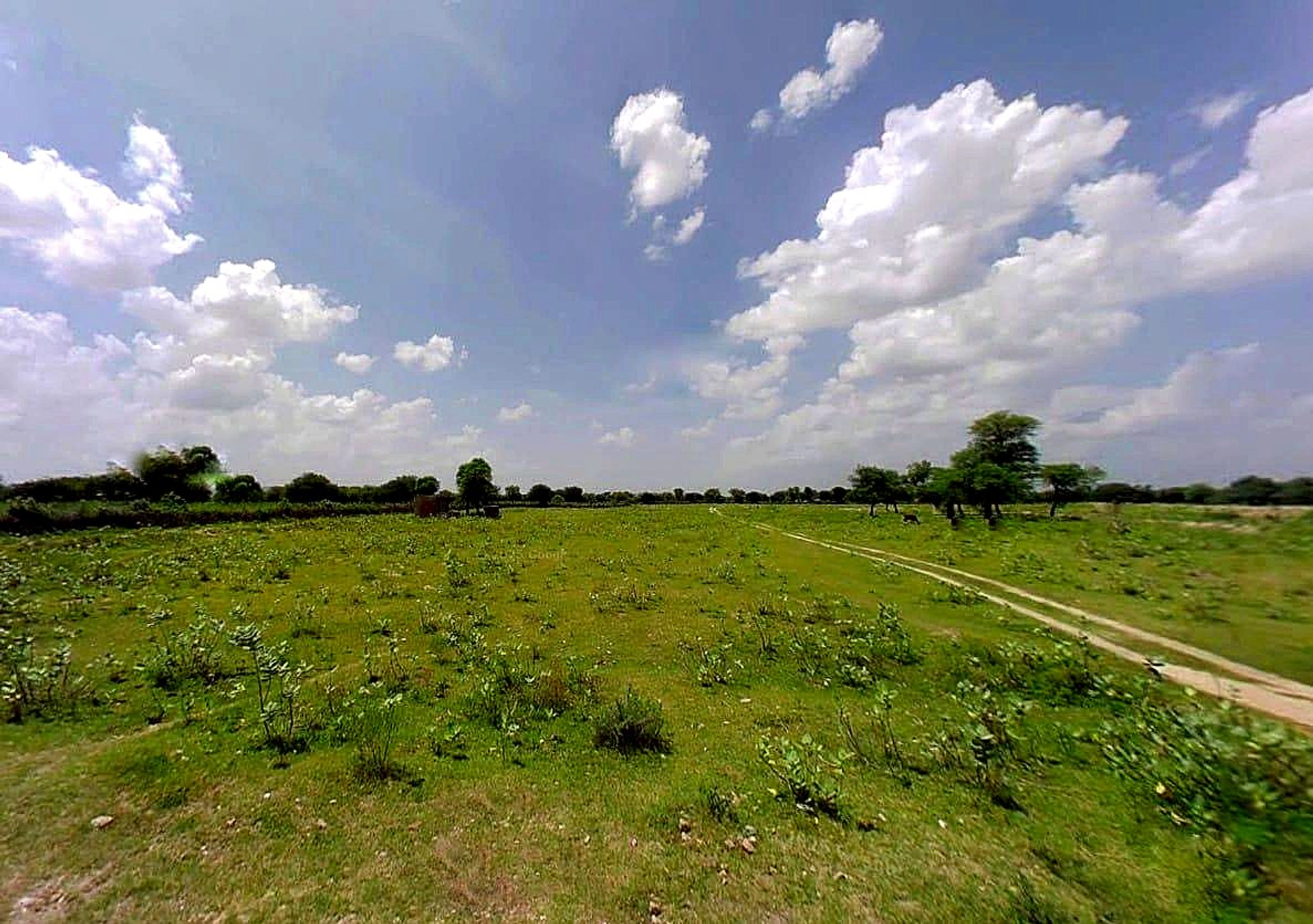 RCXH+49C, Kot Jewar Rd, Boraj, Kot Jewar, Rajasthan 303338, India