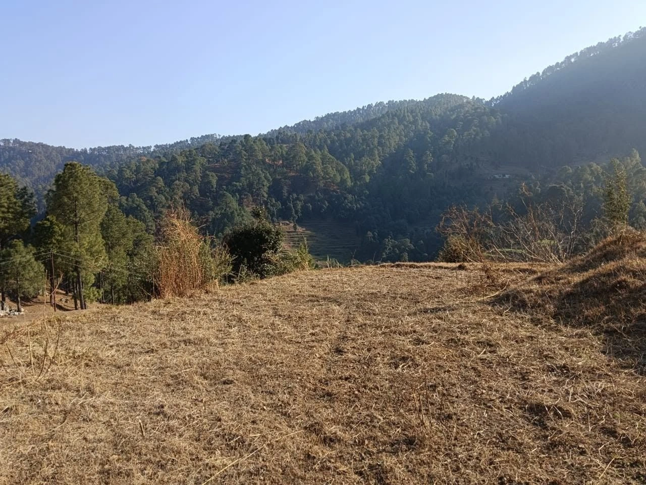 Maldevta Road, Danda Gaon, Uttarakhand, India