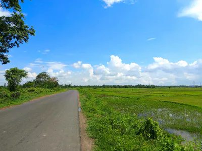 Lakhimpur, Uttar Pradesh 262701, India preview 3