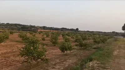 Talao, Haryana 124103, India preview 2