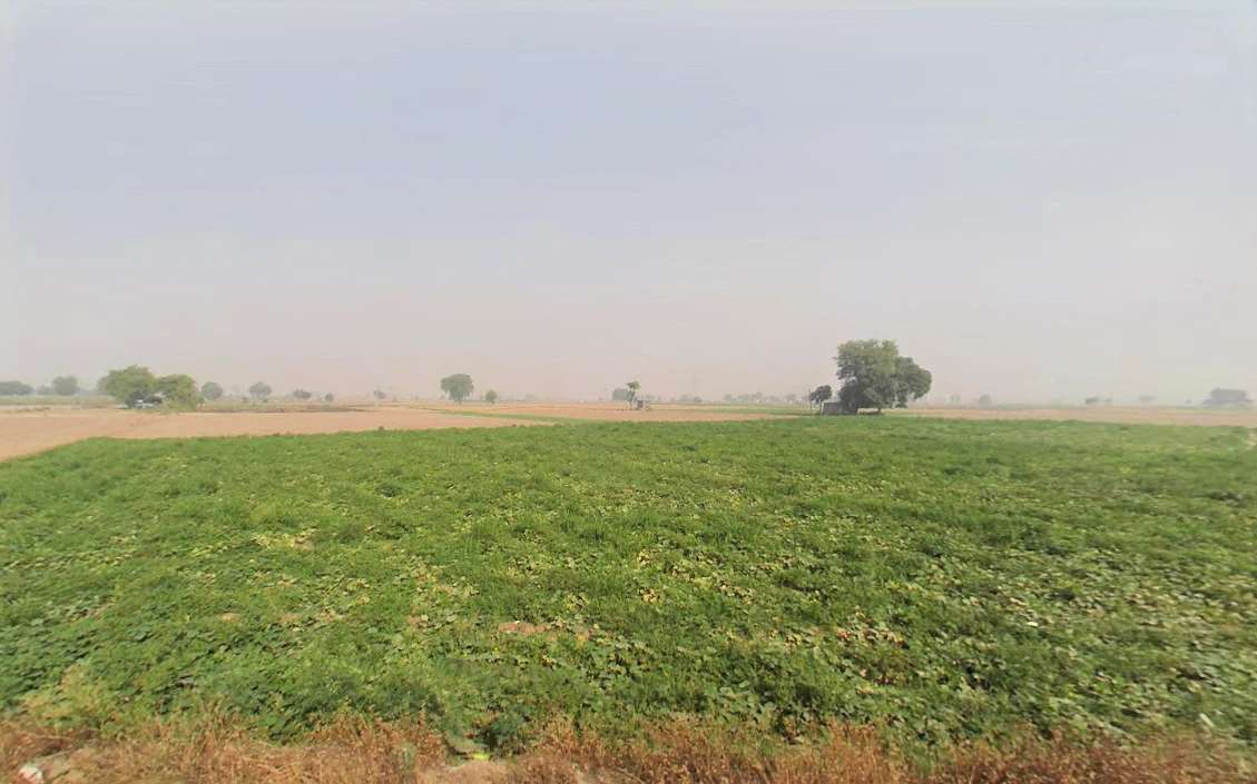 Hassanpur, Haryana 131039, India