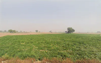 Hassanpur, Haryana 131039, India preview 2