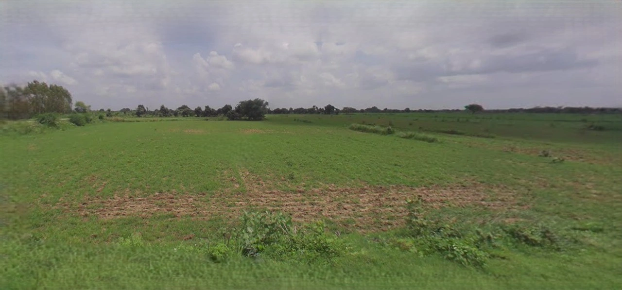 Mandsaur, Madhya Pradesh, India