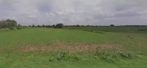 Mandsaur, Madhya Pradesh, India preview 3