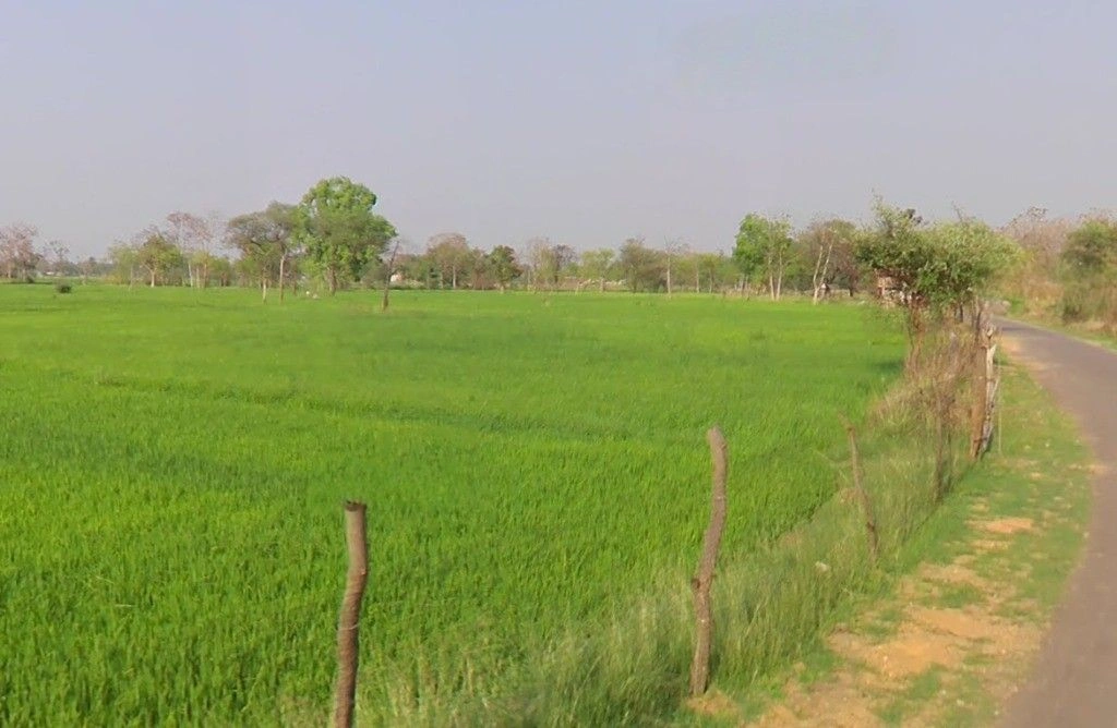 Kotni, Chhattisgarh 493441, India