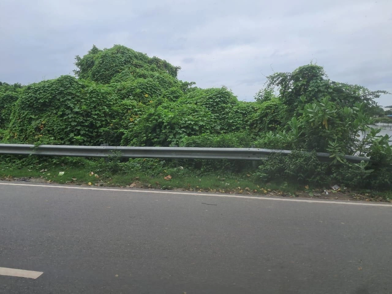 Tarun - Pura Rd, Ayodhya, Manjha Kala, Uttar Pradesh 271319, India