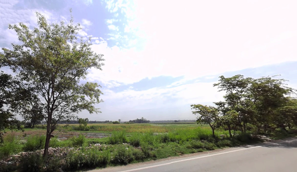 Naraingarh, Haryana 134203, India