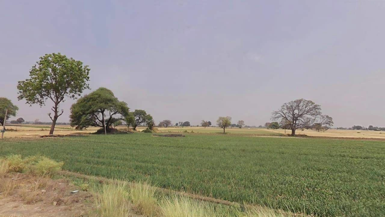 Bhopal, Madhya Pradesh, India