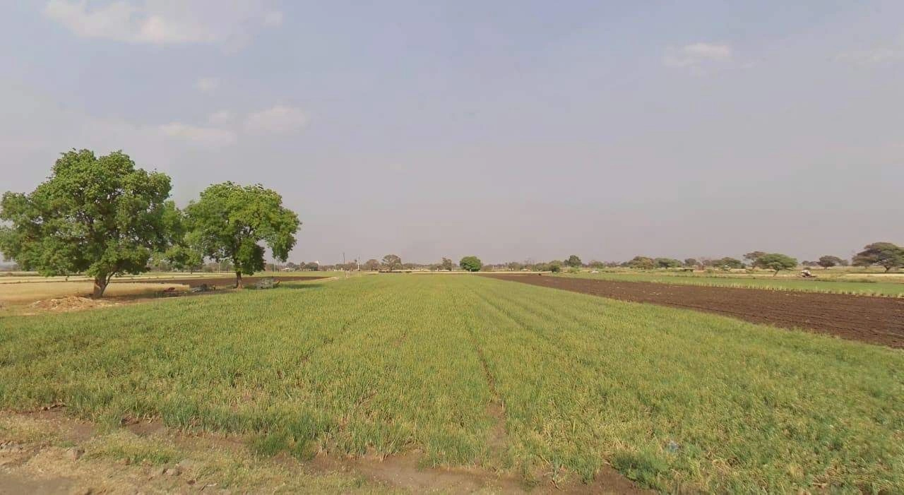 Berasia, Madhya Pradesh 463106, India