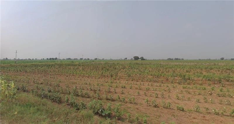 karle, Maharashtra, India