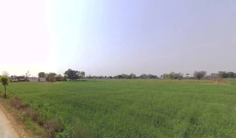 Bamboli, Rajasthan, India