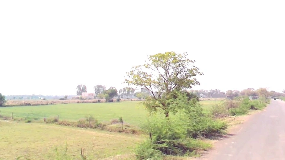 Ner, Madhya Pradesh 480223, India