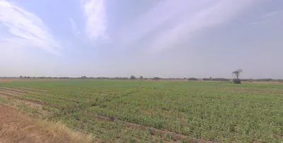 Tamhini, Maharashtra, India preview 3