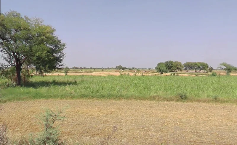 Guradiyadasa, Madhya Pradesh 456443, India preview 3