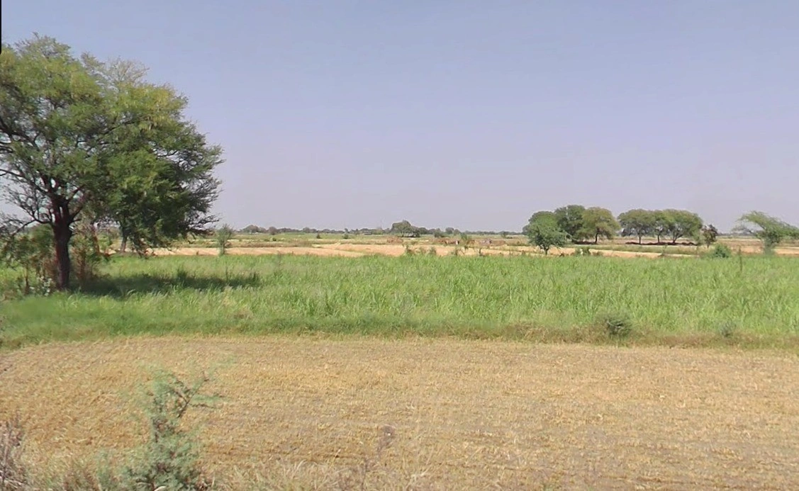 Guradiyadasa, Madhya Pradesh 456443, India