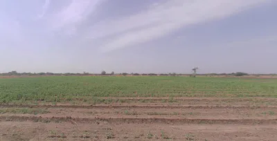 Tamhini, Maharashtra, India preview 2