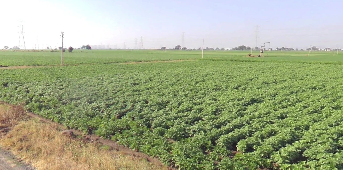 Dakachya, Madhya Pradesh 453771, India