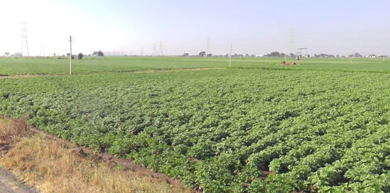 Dakachya, Madhya Pradesh 453771, India preview 3