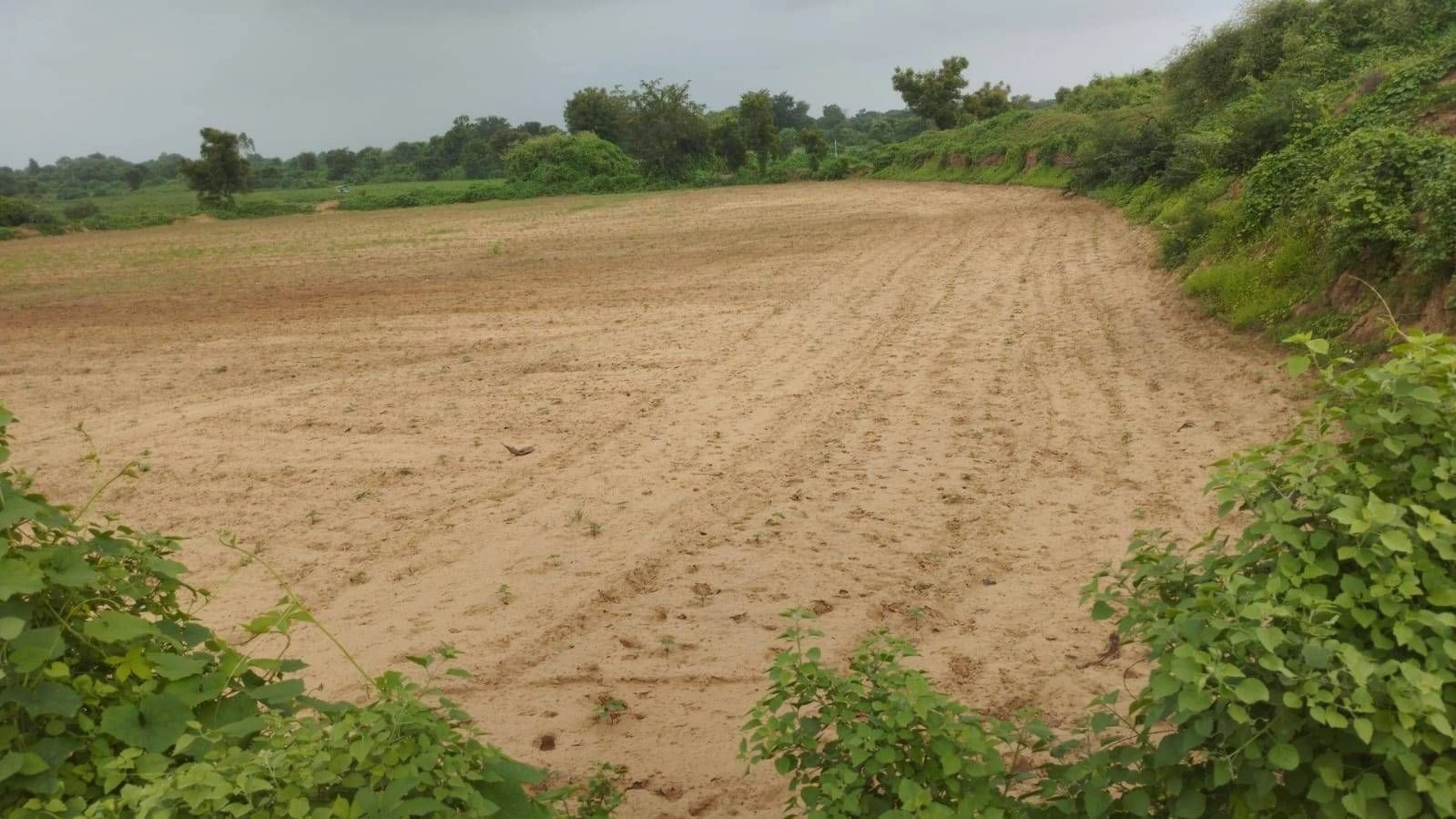 Udesipur, Sonipat, Haryana 131102, India preview 3