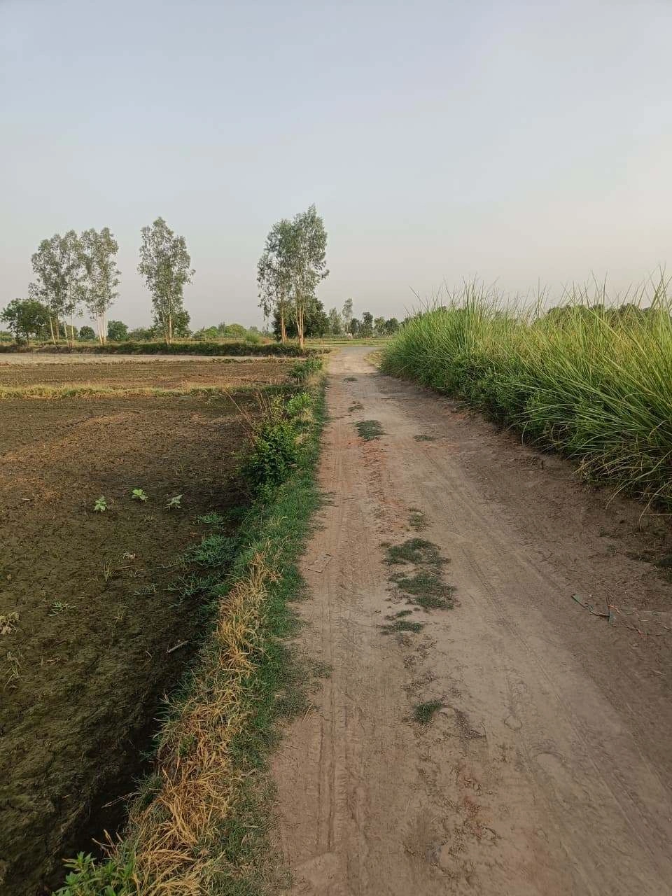 Tentigaon, Uttar Pradesh, India