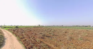 Sokali, Gujarat 382150, India preview 3