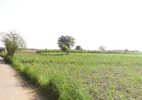 Kankather, Uttar Pradesh 244235, India preview 2