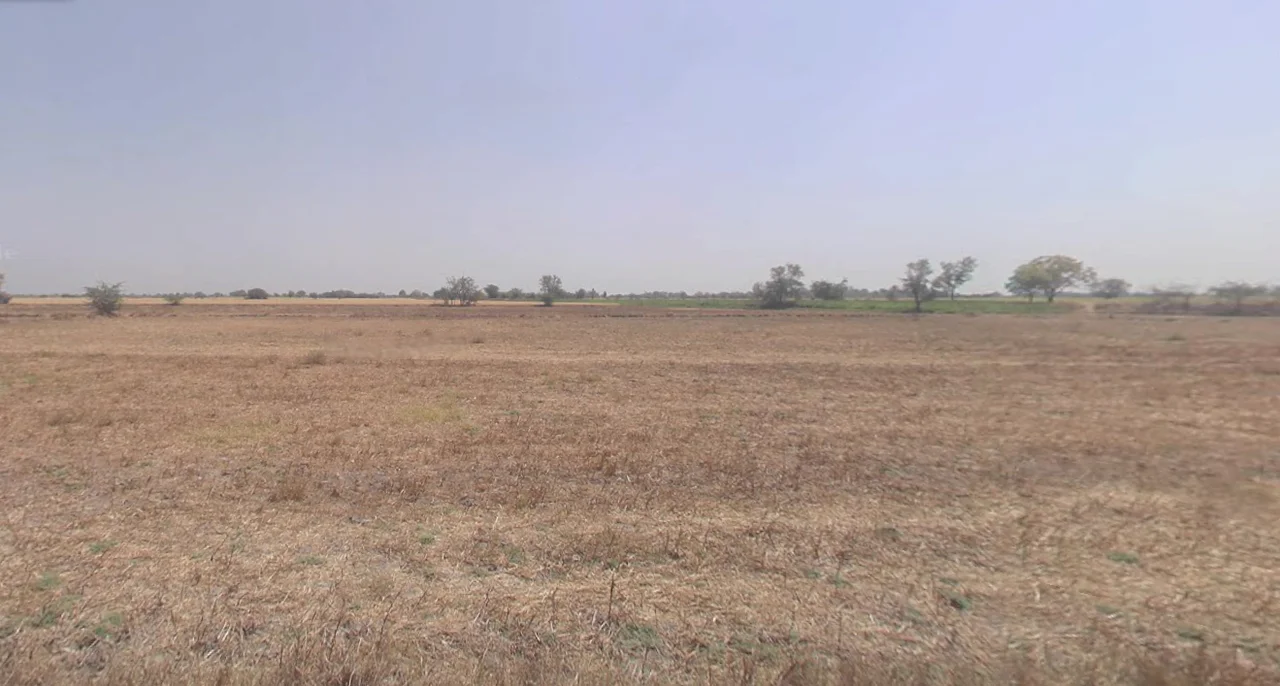 Dhamale Wadi, Gonawadi, Maharashtra 412108, India preview 3