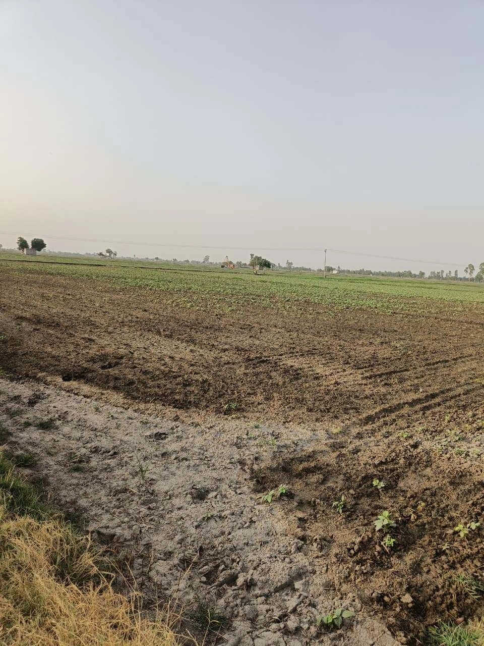 Tentigaon, Uttar Pradesh, India