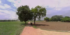 Kathoomar, Rajasthan 321605, India preview 3