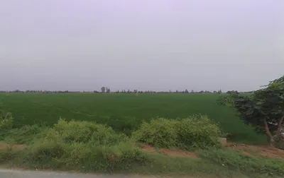 Fatehgarh, Haryana 126101, India preview 2