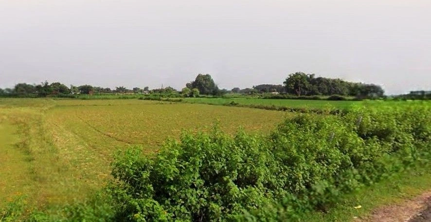 Tanda, Uttar Pradesh 244925, India