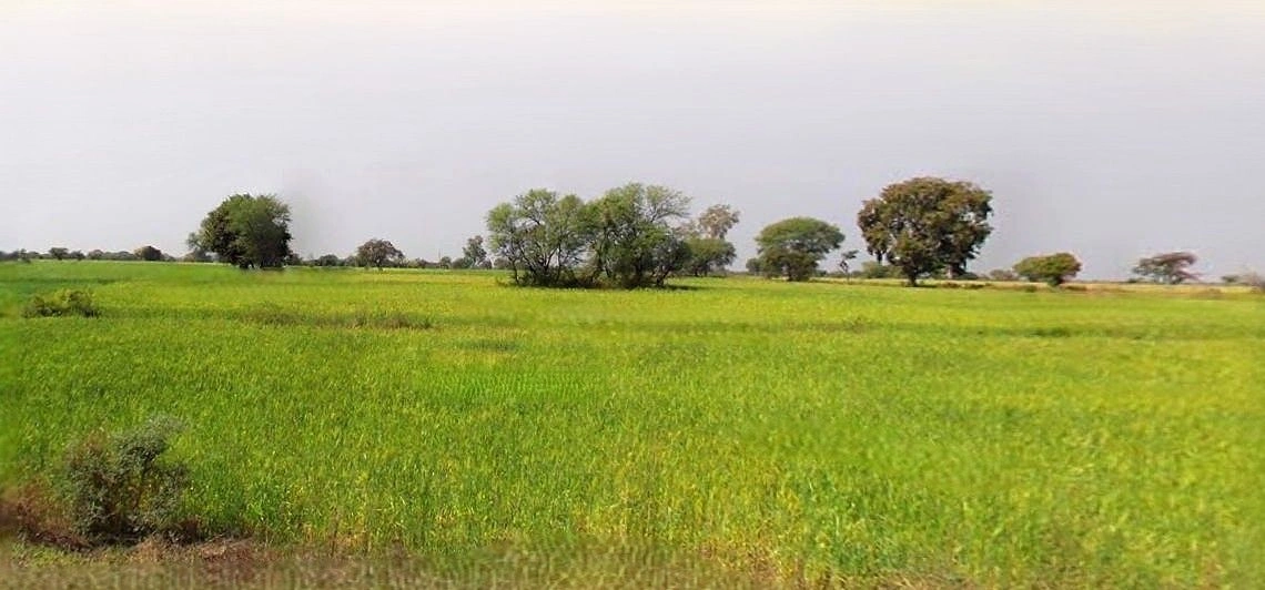 Bahadurgarh, Haryana, India
