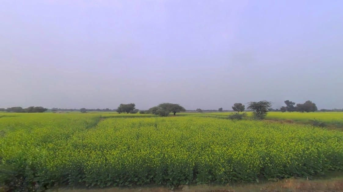 66PC+749, Lamya Joonardar, Rajasthan, India