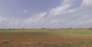 8JF5+Q9 Rajansar, Gujarat, India preview 3