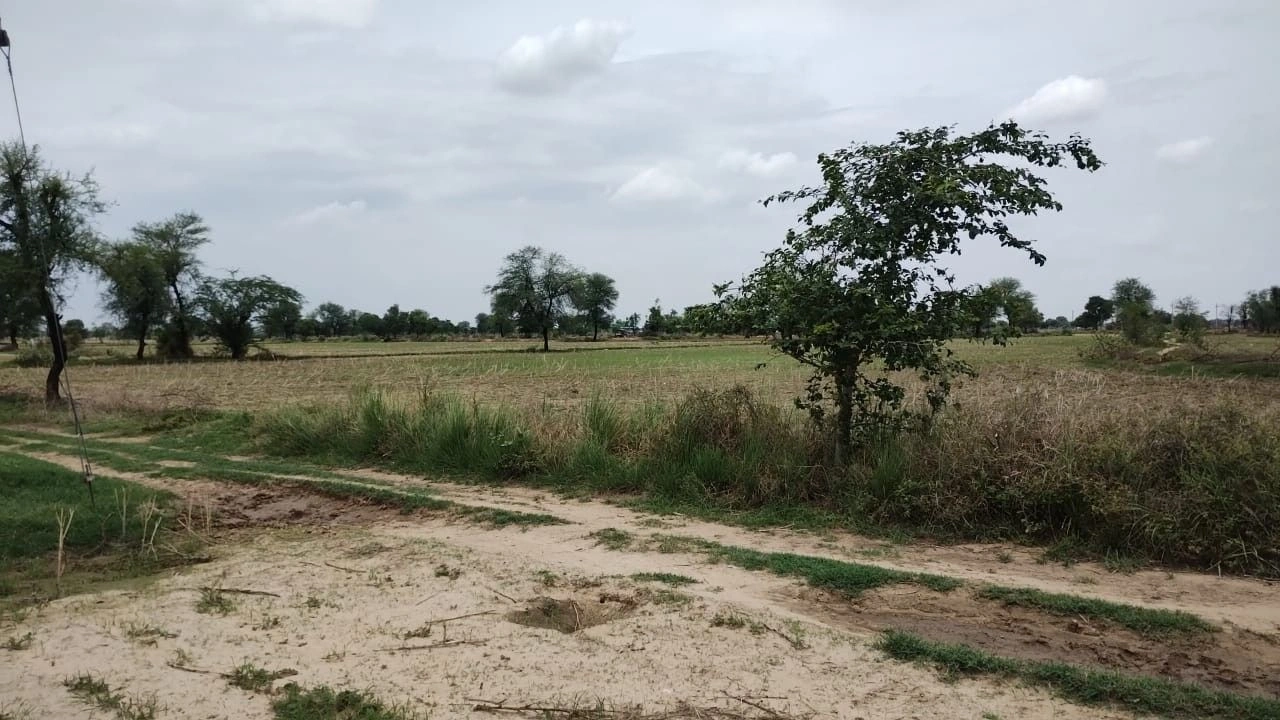 Naugaon, Rajasthan 301025, India
